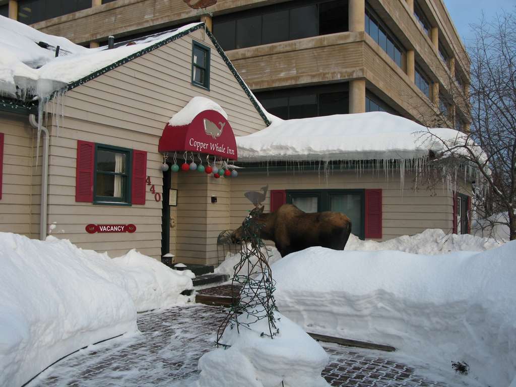 Copper Whale Inn Анкоридж Экстерьер фото